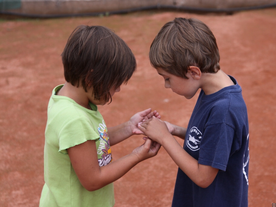 img00141.jpg